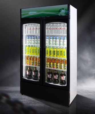 220V-240V/50HZ 60HZ 110V/60HZ Дисплейный охладитель 2 двери Магазин напитков холодильник холодильник